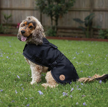 Load image into Gallery viewer, Kazoo Adventure Dog Coat (With Hatch) - Black
