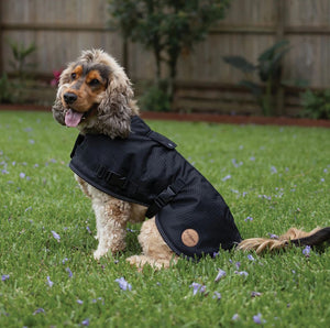 Kazoo Adventure Dog Coat (With Hatch) - Black