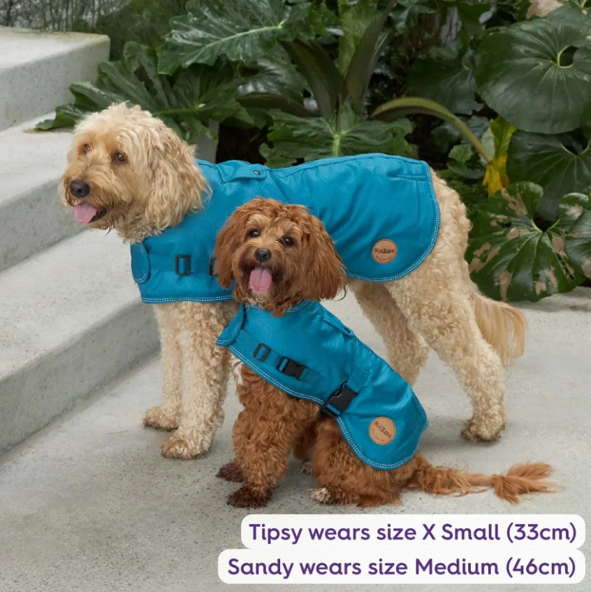 Kazoo Adventure Dog Coat (With Hatch) - Blue
