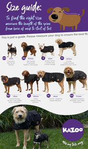 Kazoo Adventure Dog Coat (With Hatch) - Black