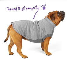 Load image into Gallery viewer, Kazoo Armadillo Grey Dog Jacket
