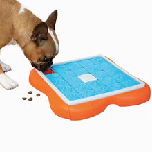 Load image into Gallery viewer, Outward Hound Nina Ottosson - Challenge Slider Dog Puzzle
