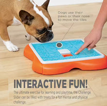 Load image into Gallery viewer, Outward Hound Nina Ottosson - Challenge Slider Dog Puzzle
