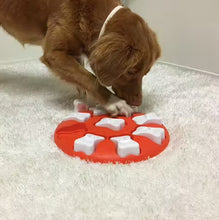 Load image into Gallery viewer, Outward Hound Nina Ottosson Dog Smart Orange
