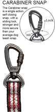 Load image into Gallery viewer, K9 Homes Chevron Carabiner Leash 120 cm
