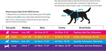 Load image into Gallery viewer, DOOG Lassie Dog Harness
