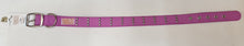 Load image into Gallery viewer, Gummi Stud Dog Collar Purple
