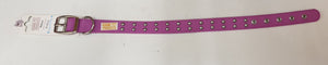 Gummi Stud Dog Collar Purple