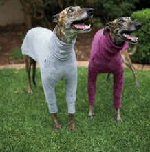 Load image into Gallery viewer, Kazoo Greyhound Softie Jumper
