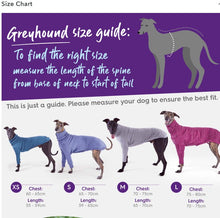 Load image into Gallery viewer, Kazoo Greyhound Softie Jumper
