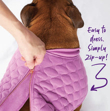 Load image into Gallery viewer, Kazoo Pink Petal Dog Jacket
