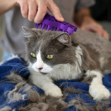 Load image into Gallery viewer, Kong ZoomGroom for Cats
