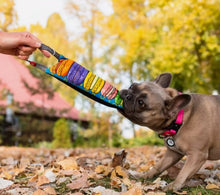 Load image into Gallery viewer, Wau Dog Fun Squeaker Tug Dog Toys
