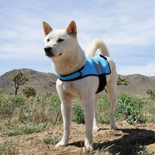 Load image into Gallery viewer, Zippy Paws Cooling Vest - Blue
