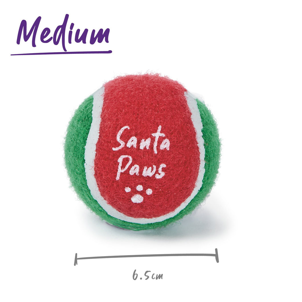 Kazoo Santa Paws Ball
