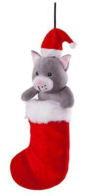 Kazoo Plush Cat in Stocking