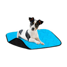 Load image into Gallery viewer, Airy Vest Dog Mat - Large
