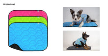 Load image into Gallery viewer, Airy Vest Dog Mat - Medium
