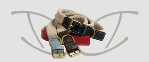 Da Vinci Giovanna Flat Rope Dog Collar - Bordeaux