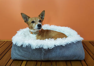 Furry Pet Bed Mat