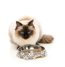 Load image into Gallery viewer, FuzzYard Cat Bowl - Melamine &amp; Stainless Steel
