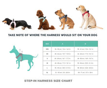 Load image into Gallery viewer, FuzzYard Step In Harness - Prism
