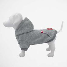 Load image into Gallery viewer, Louie Living Dog Hoodie
