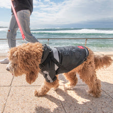 Load image into Gallery viewer, Louie Living Dog Raincoat
