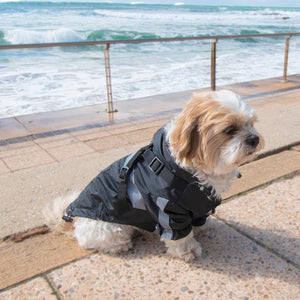 Louie Living Dog Raincoat