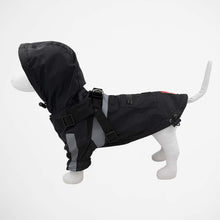 Load image into Gallery viewer, Louie Living Dog Raincoat
