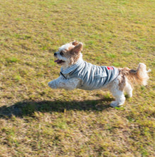 Load image into Gallery viewer, Louie Living Reversible Light Dog Sweater
