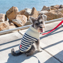Load image into Gallery viewer, Louie Living Striped Dog Cardigan
