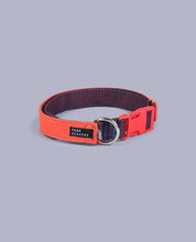 Load image into Gallery viewer, Park Barkers Hyde Collar - Red
