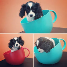Load image into Gallery viewer, United Pets Ciotola Cup Dog Bowl
