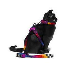 Load image into Gallery viewer, Zee Cat Harness
