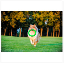 Load image into Gallery viewer, PitchDog - 20cm Ring
