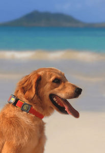 Hunter Maui Vario Plus Dog Collar Large
